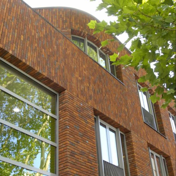 Brede school vogelensangh