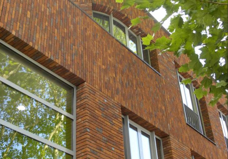 Brede school vogelensangh